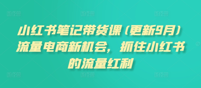 小红书笔记带货课(更新25年9月)流量电商新机会，抓住小红书的流量红利-老莫涯