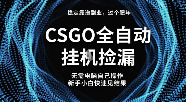 【稳定副业】全球最热门游戏CSGO全自动捡漏，最新玩法，新手小白日入5张+【揭秘】-老莫涯