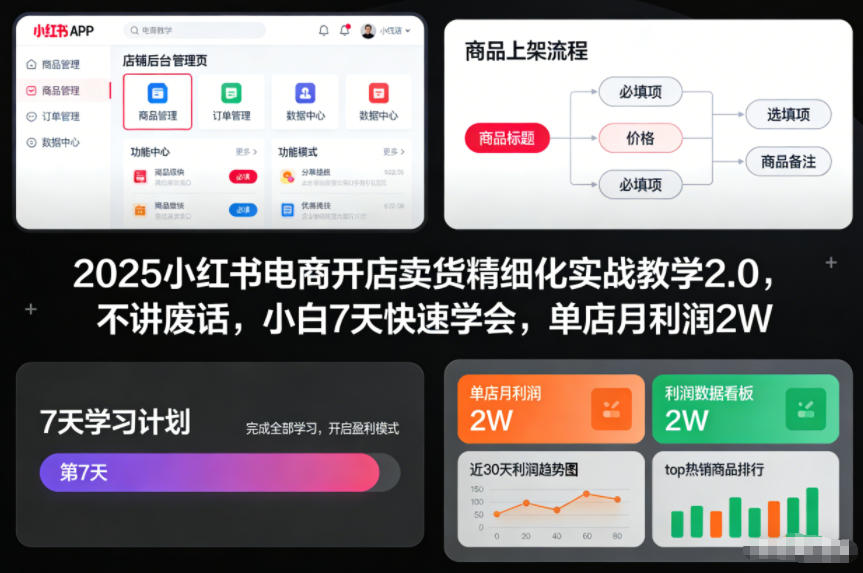 2025小红书电商开店卖货精细化实战教学2.0，不讲废话，小白7天快速学会，单店月利润2W-老莫涯
