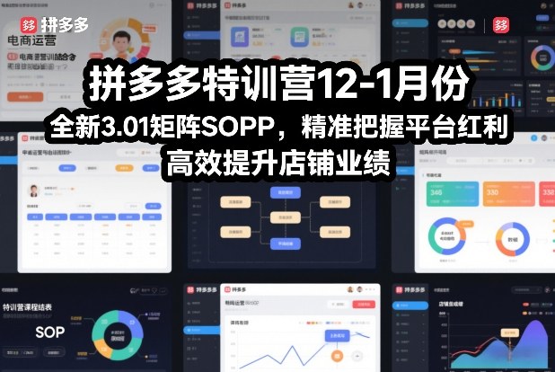 拼多多特训营12-1月份，全新3.01矩阵Sop，精准把握平台红利，高效提升店铺业绩-老莫涯