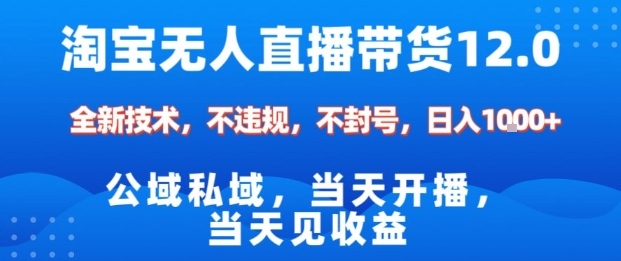 淘宝无人直播12.0，公域私域技术，不封号，不违规布局双十一流量风口，日入1k(独家技术)【揭秘】-老莫涯