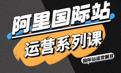 醒目老师·阿里国际站运营系列课(更新11月)-老莫涯