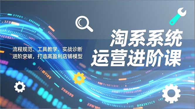 淘系系统运营进阶课2.0，流程规范、工具教学、实战诊断，进阶突破，打造高盈利店铺模型-老莫涯