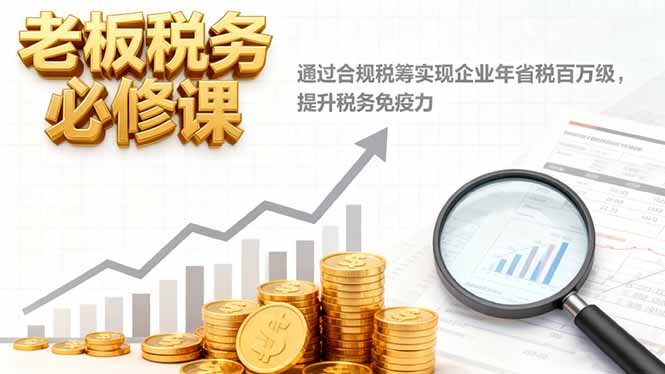 老板税务必修课，通过合规税筹实现企业年省税百万级，提升税务免疫力-老莫涯