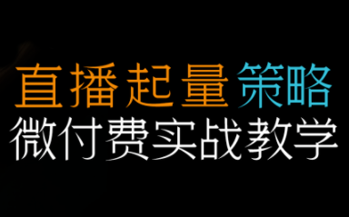 半野老师·直播带货起量与微付费必学课视频号-老莫涯