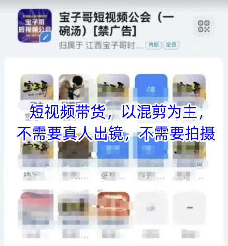 宝子哥头部团队短视频带货，以混剪为主，不需要真人出镜，不需要拍摄【更新12月】-老莫涯