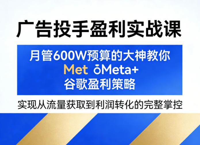 广告投手盈利实战课，月管600W预算的大神教你Meta+谷歌盈利策略，实现从流量获取到利润转化的完整掌控-老莫涯