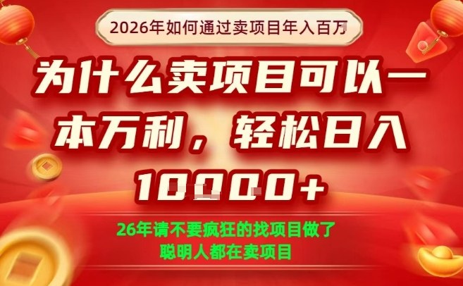 一单净利润1K+，26年想年入100个W，死磕卖项目就够了【揭秘】-老莫涯
