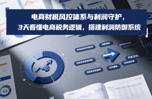 电商财税风控体系与利润守护，3天看懂电商税务逻辑，搭建利润防御系统-老莫涯