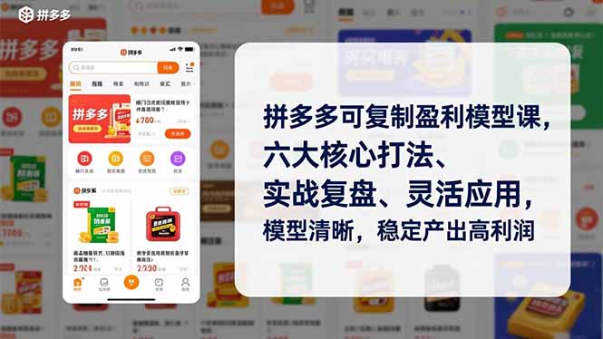 拼多多可复制盈利模型课，六大核心打法、实战复盘、灵活应用，模型清晰，稳定产出高利润-老莫涯