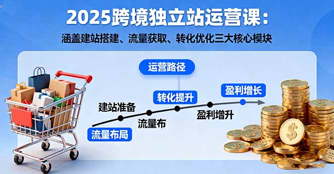 2025跨境独立站运营课：涵盖建站搭建、流量获取、转化优化三大核心模块-老莫涯