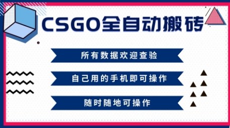 CSGO全自动搬砖，年底钱回家好项目，当天可拿到结果，新手小白轻松月入1W+【揭秘】-老莫涯