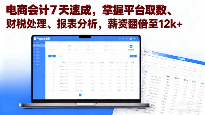 电商会计7天速成，掌握平台取数、财税处理、报表分析，薪资翻倍至12k+-老莫涯