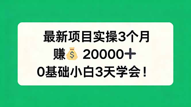 最新项目实操3个月，赚钱20000+，0基础小白3天学会！-老莫涯