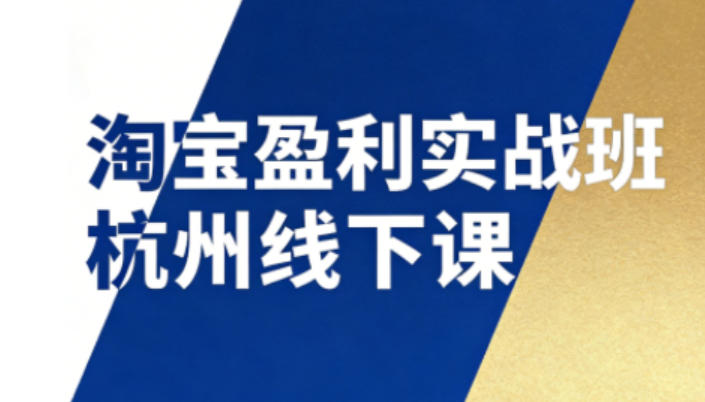 淘宝盈利实战班杭州线下课12月26-28日(音频+字幕)，帮你掌握SOP流程+12门核心技术-老莫涯