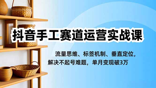 抖音手工赛道运营实战课，流量思维、标签机制、垂直定位，解决不起号难题，单月变现破3万-老莫涯