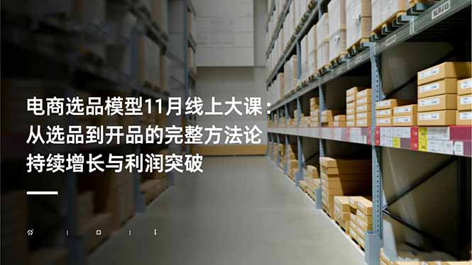 电商选品模型11月线上大课：从选品到开品的完整方法论 持续增长与利润突破-老莫涯