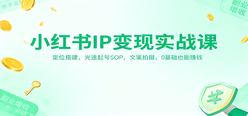 小红书IP变现实战课：定位搭建，光速起号SOP，文案拍摄，0基础也能赚钱-老莫涯