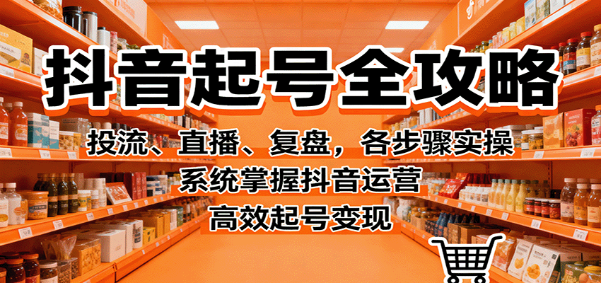 抖音起号全攻略，投流、直播、复盘，各步骤实操，系统掌握抖音运营，高效起号变现-老莫涯
