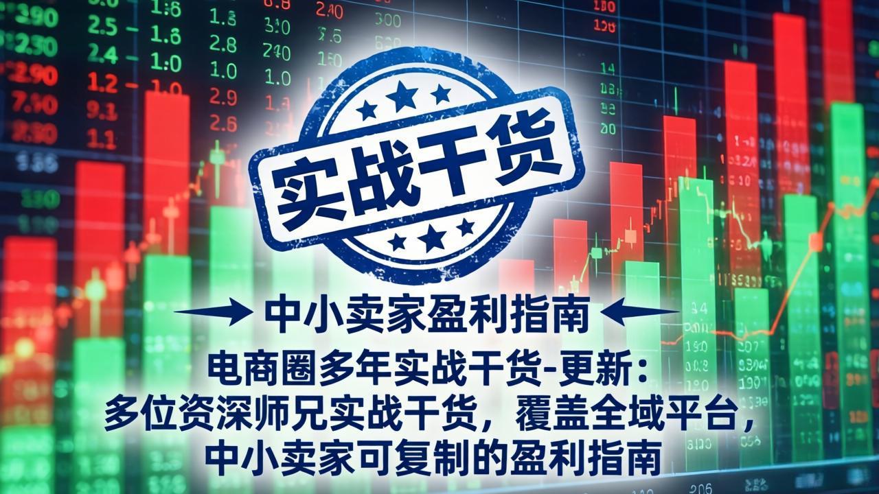 电商圈多年实战干货-更新4月：多位资深师兄实战干货，覆盖全域平台，中小卖家可复制的盈利指南-老莫涯