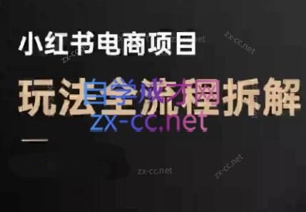 菲菲老师·小红书电商玩法(更新9月)-老莫涯