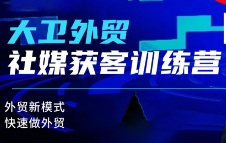 大卫老师·外贸社媒获客独家训练营(更新10月)-老莫涯
