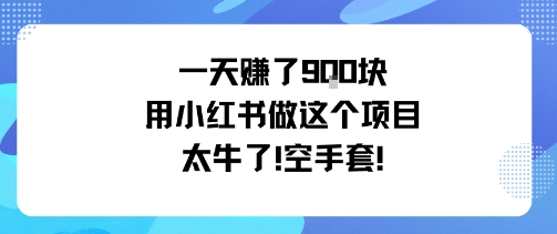 一天挣了9张用小红书做这个项目太牛了，空手套-老莫涯