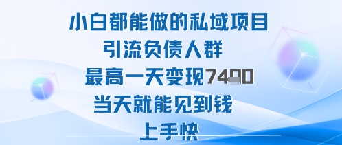 2025年小白都能做的私域项目引流负债人群最高一天变现1k+高变现难度低当天就能见到钱上手快-老莫涯