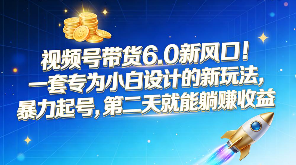 视频号带货 6.0 新风口！一套专为小白设计的新玩法，暴力起号，第二天就能躺赚收益-老莫涯