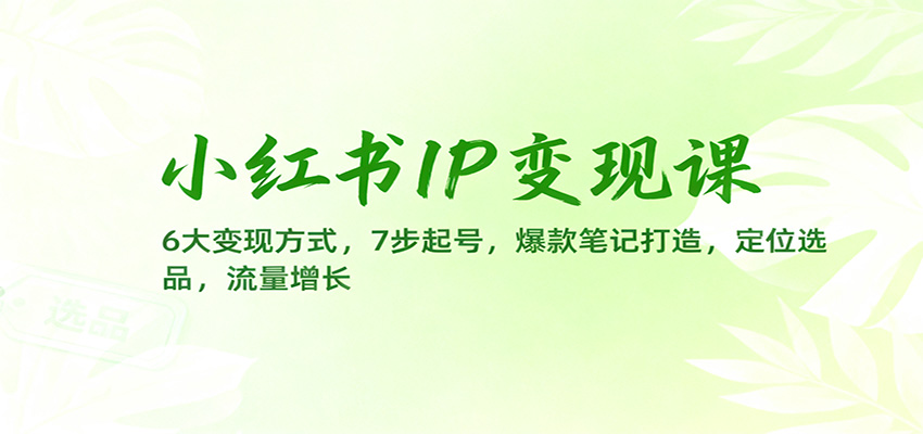 小红书IP变现课：6大变现方式，7步起号，爆款笔记打造，定位选品，流量增长-老莫涯