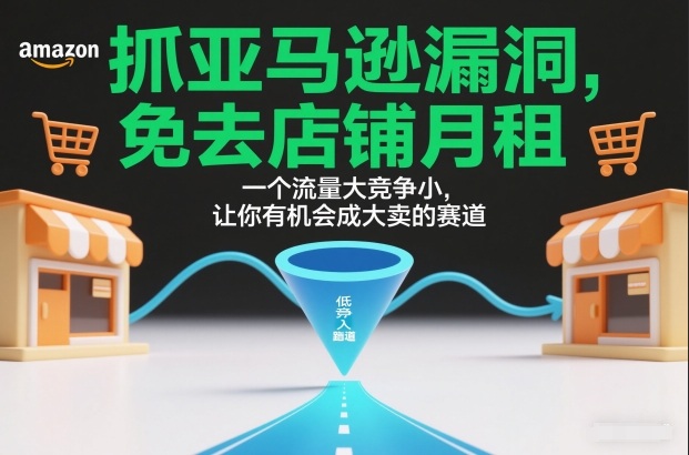 抓亚马逊漏洞，免去店铺月租，一个流量大竞争小，让你有机会成大卖的赛道-老莫涯